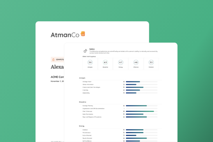 Report Sales Assessment Main EN
